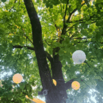 biergarten3